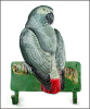 Painted Metal African Grey Wall Hook - Parrot Towel Hook - Tropical Design - 11"