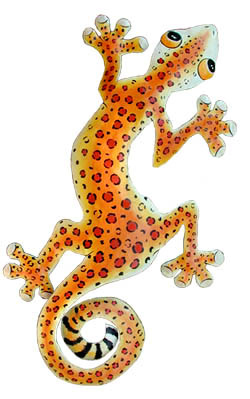 Painted metal gecko wall hanging - Haitian steel drum art Painted Metal Gecko Hanging - Leopard Design Gecko 
