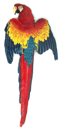 Dramatic Hand Painted Scarlet Macaw Parrot - Hand painted parrot metal wall hanging Tropical art design. Handcrafted from recycled steel drums in Haiti. Caribbean wall decor.