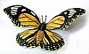 Monarch Butterfly Wall Art - Painted Metal Garden Decor - Decorative Butterflies - 34"