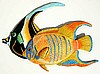 Tropical Fish Wall Decor - Hand Painting Metal Art - Tropical Decor - 17 1/2" x 24"