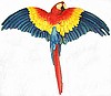 Painted Scarlet Macaw Parrot Metal Wall Hanging - Tropical Home Decor - Haitian Metal Art - 26"