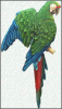  Painted Metal Military Macaw Parrot Wall Hanging. Tropical Decor - Steel Drum Art - 10" x 24"