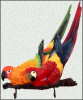 Painted Metal Parrots on a Branch Wall Hook. Tropical Home Decor - 12" x 15"
