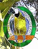 Parrot Suncatcher - Blue & Gold Macaw Parrot Art - Tropical Stained Glass Design - 10" x 12"